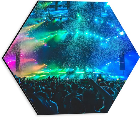 Dibond Hexagon - Volle Grote Concertzaal tijdens Concert - 30x26.1 cm Foto op Hexagon (Met Ophangsysteem)