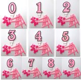 Cijferkaars Roze 5- Roze Verjaardagkaarsjes nummer 5 -verjaardagkaarsjes