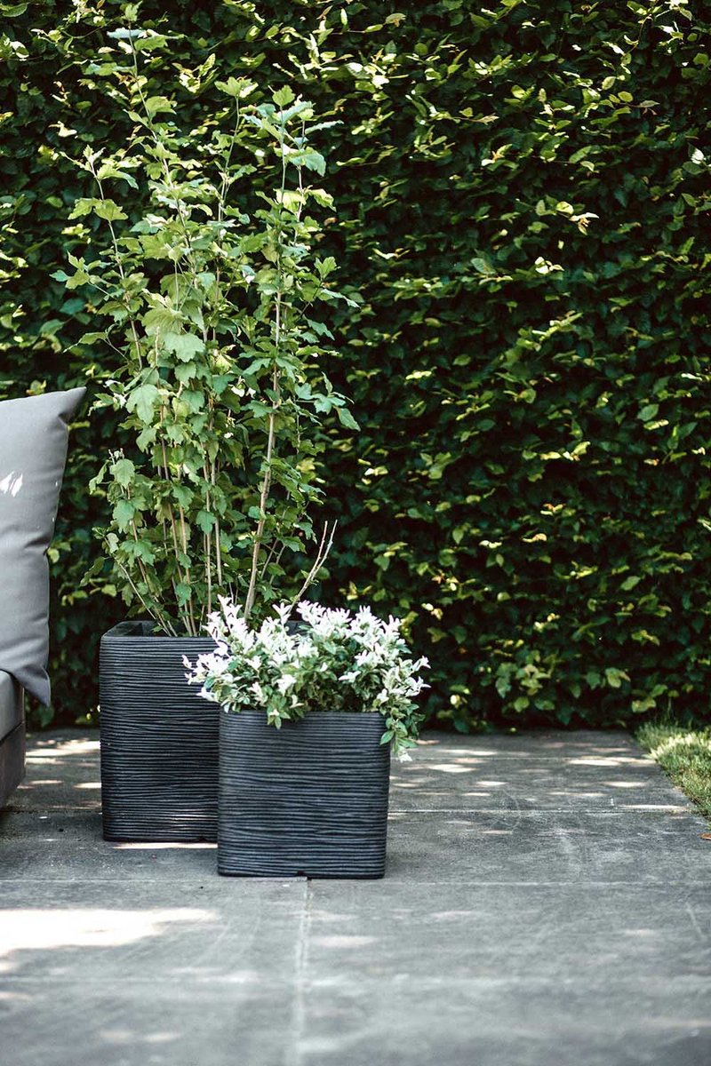Capi Europe Pot de fleurs carré Rib NL - 30x30 - Noir