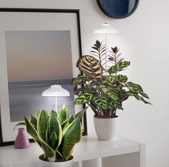 Planten Lamp - Groeilamp - Spot voor planten in de avond - Afstelbaar