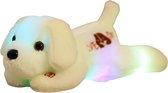 Le Cava Lichtgevende Knuffel Teddybeer Wit 35 cm - Schattige Witte Pluche Hond - Speelgoed en Decoratie voor Kinderen - Cadeau Knuffel 35 cm