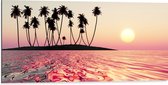 Dibond - Silhouet van Palmbomen op Onbewoond Eiland in de Oceaan bij Zonsondergang - 100x50 cm Foto op Aluminium (Wanddecoratie van metaal)