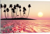 Dibond - Silhouet van Palmbomen op Onbewoond Eiland in de Oceaan bij Zonsondergang - 105x70 cm Foto op Aluminium (Wanddecoratie van metaal)