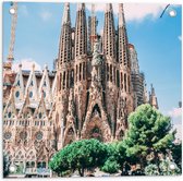 Tuinposter – Sagrada Familia in Barcelona, Spanje - 50x50 cm Foto op Tuinposter (wanddecoratie voor buiten en binnen)