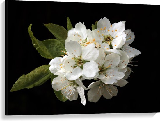 WallClassics - Canvas - kleine Witte Bloemetjes met Groene Bladeren op Zwarte Achtergrond - 100x75 cm Foto op Canvas Schilderij (Wanddecoratie op Canvas)