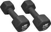 AJ-Sports Dumbells 5 kg - 2 x 5 kg dumbell - Gewichten - Dumbells set - Gewichten set - Halterset - Fitness gewichten - Krachttraining - Fitness