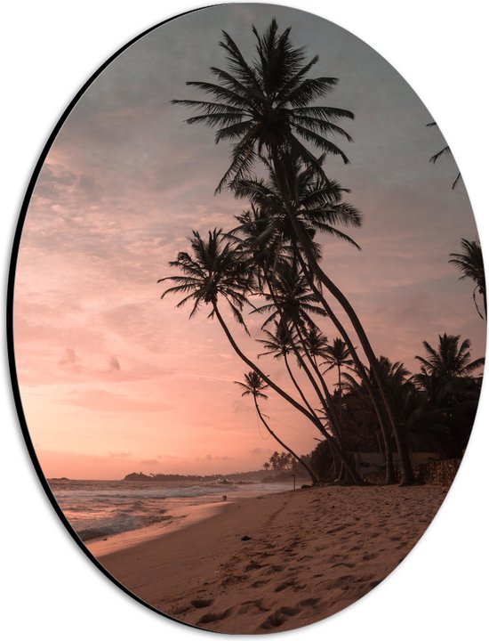 WallClassics - Dibond Ovaal - Groepje Hoge Palmbomen op het Strand bij Zonsondergang - 21x28 cm Foto op Ovaal (Met Ophangsysteem)