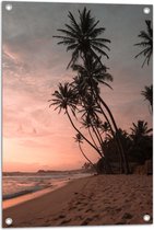 WallClassics - Tuinposter – Groepje Hoge Palmbomen op het Strand bij Zonsondergang - 50x75 cm Foto op Tuinposter (wanddecoratie voor buiten en binnen)