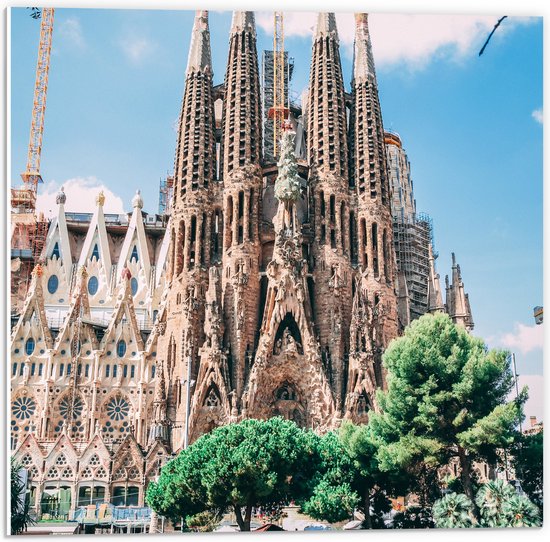 PVC Schuimplaat- Sagrada Familia in Barcelona, Spanje - 50x50 cm Foto op PVC Schuimplaat