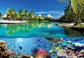 Fotobehang  Island Paradise With Corals Dolphin | PANORAMIC - 250cm x 104cm | 130g/m2 Vlies