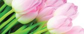 Papier peint Fleurs Tulipes Nature | PANORAMIQUE - 250cm x 104cm | Polaire 130g / m2