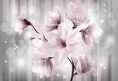Papier peint Fleurs Magnolia  | XL - 208 cm x 146 cm | Polaire 130g / m2