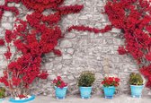 Fotobehang Red Flowers Stone Wall | XXL - 312cm x 219cm | 130g/m2 Vlies