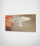 White Dove Canvas