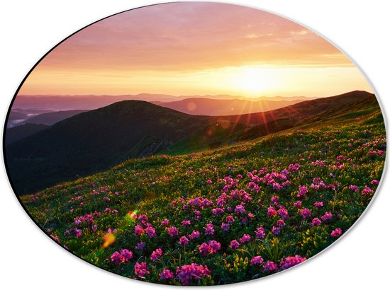 Dibond Ovaal - Zonsondergang Verdwijnend achter Gebergte vol Paarse Bloemen - 40x30 cm Foto op Ovaal (Met Ophangsysteem)