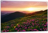 Tuinposter – Zonsondergang Verdwijnend achter Gebergte vol Paarse Bloemen - 120x80 cm Foto op Tuinposter (wanddecoratie voor buiten en binnen)