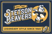Stetson Metal Display Bord American Football
