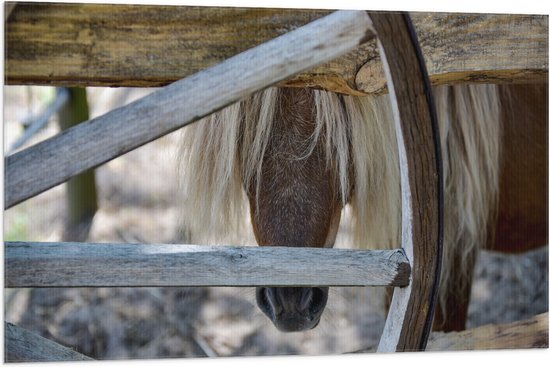 Vlag - Neus van Pony door Speilen van Hek - 105x70 cm Foto op Polyester Vlag