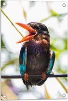 Tuinposter – Kleurrijke IJsvogel met Open Snavel Zittend op Smalle Tak - 40x60 cm Foto op Tuinposter (wanddecoratie voor buiten en binnen)