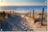 Tuinposter strand en duinen - Tuindecoratie zee - 60x40 cm - Tuinschilderij voor buiten natuur - Tuindoek zomer - Wanddecoratie - Schuttingdoek - Balkon decoratie - Muurdecoratie - Buitenschilderijen voor in de tuin