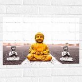 Muursticker - Gouden en Zilveren Miniatuur Buddha_s op Asfalt weg - 60x40 cm Foto op Muursticker