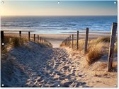 Affiche de jardin plage et dunes - Plage - Nederland - Plantes - Nature - Mer - Toile jardin - Jardin - Décoration clôture - Toile clôture - 120x90 cm - Peinture jardin extérieur - Décoration de jardin
