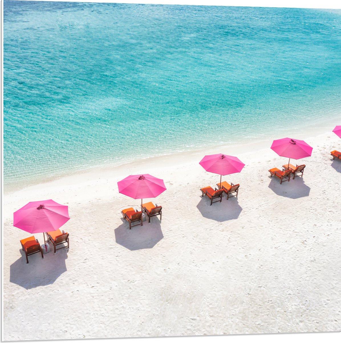 PVC Schuimplaat- Ligbedden onder Roze Parasols op het Witte Strand bij Blauwe Oceaan - 80x80 cm Foto op PVC Schuimplaat