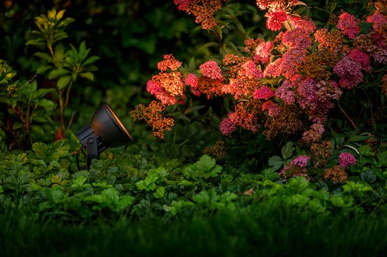 Garden Lights: Raf Tuinspot 12 Volt - Zwart van Garden — afbeelding 5