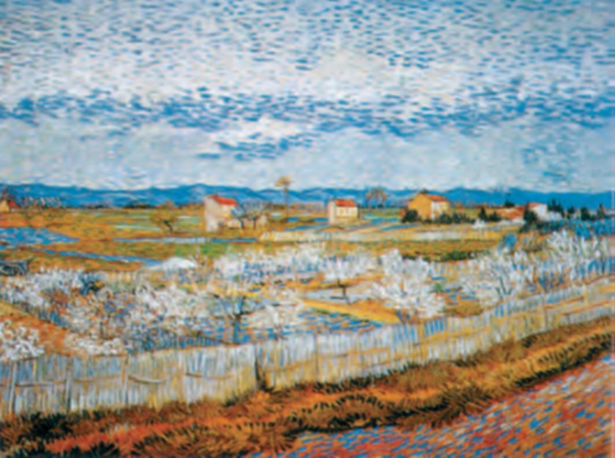 Catch Projecten Vincent van Gogh - Perzikbloesem - Kunstposter - 40x50 cm Multicolour