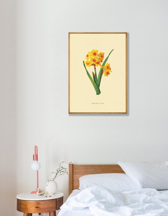 Narcis Bloem Vintage Poster 30x40 cm