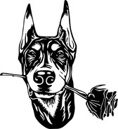 Raam - auto sticker Doberman - hond - dog - wallart - laptop - aanhanger