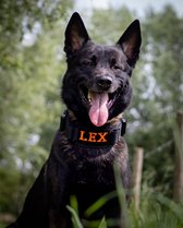 Halsband Gepersonaliseerd eigen naam - Kaya - Honden halsband Geborduurd - Tactical - Zwart - Hals 45-75 CM - geschikt voor iedere hondenriem - voor middel en grote honden - Best getest 2022 - 450KG Anti trek test - One Size