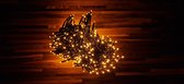 Kerstverlichting Warm-wit | 100 Ledlampjes | 7,4 + 3 Meter | Seizoensdecoratie | Kleur: Zwart