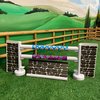 foto van Crafty Ponies Springconcour
