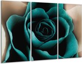 GroepArt - Schilderij -  Roos - Blauw, Wit, Zwart - 120x80cm 3Luik - 6000+ Schilderijen 0p Canvas Art Collectie