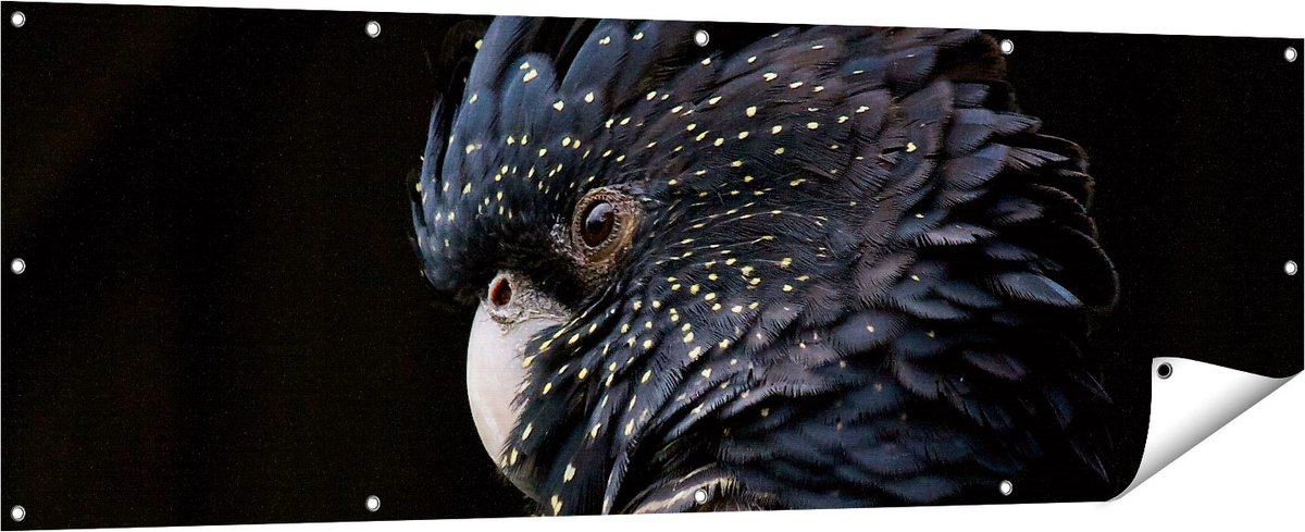 Gards Tuinposter Zwarte Kaketoe - 180x60 cm - Tuindoek - Tuindecoratie - Wanddecoratie buiten - Tuinschilderij Multikleur