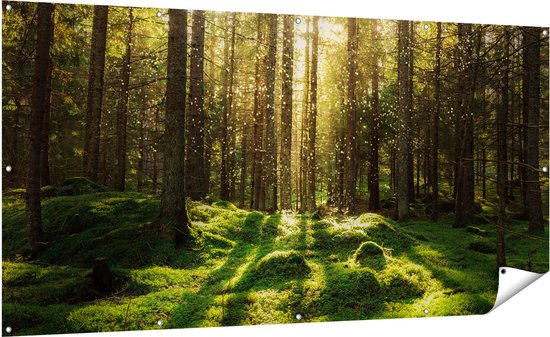 Gards Tuinposter Bos met Groen Mos op de Grond - 200x100 cm - Tuindoek - Tuindecoratie - Wanddecoratie buiten - Tuinschilderij