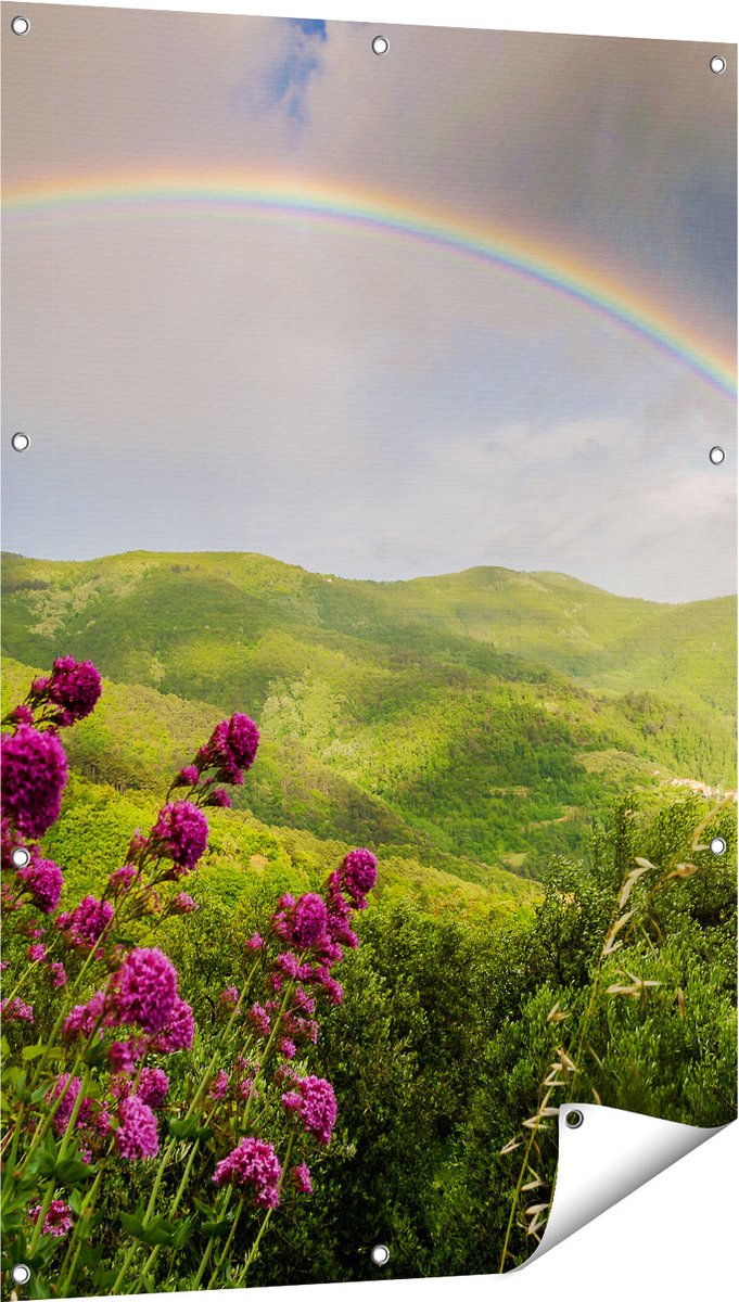 Gards Tuinposter Regenboog in de Heuvel Bossen - 80x120 cm - Tuindoek - Tuindecoratie - Wanddecoratie buiten - Tuinschilderij Multikleur
