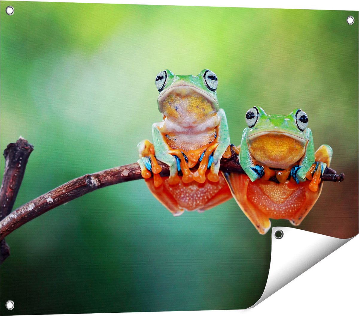 Gards Tuinposter Twee Boomkikkers op een Tak - 80x60 cm - Tuindoek - Tuindecoratie - Wanddecoratie buiten - Tuinschilderij Multikleur