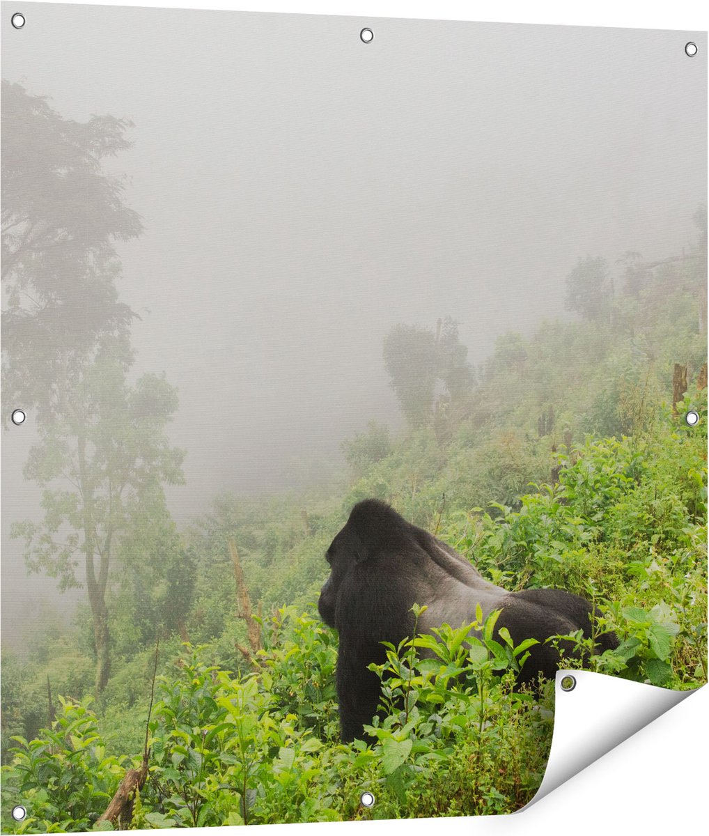 Gards Tuinposter Gorilla in het Woud tijdens de Mist - 90x90 cm - Tuindoek - Tuindecoratie - Wanddecoratie buiten - Tuinschilderij Multikleur