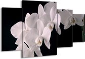 GroepArt - Schilderij -  Orchidee - Wit, Zwart - 160x90cm 4Luik - Schilderij Op Canvas - Foto Op Canvas