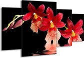 GroepArt - Schilderij -  Orchidee - Rood, Zwart, Wit - 160x90cm 4Luik - Schilderij Op Canvas - Foto Op Canvas