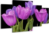 GroepArt - Schilderij -  Tulpen - Paars, Blauw, Groen - 160x90cm 4Luik - Schilderij Op Canvas - Foto Op Canvas