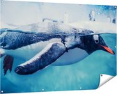Gards Tuinposter Pingu�n Zwemt in het Water - 150x100 cm - Tuindoek - Tuindecoratie - Wanddecoratie buiten - Tuinschilderij