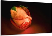 Glasschilderij Roos - Oranje, Zwart, Groen - 120x70cm 1Luik - Foto Op Glas - Geen Acrylglas Schilderij - GroepArt 6000+ Glasschilderijen Art Collectie - Wanddecoratie - Woonkamer - Slaapkamer
