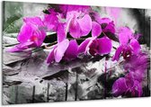 Glasschilderij Orchidee - Paars, Grijs, Wit - 120x70cm 1Luik - Foto Op Glas - Geen Acrylglas Schilderij - GroepArt 6000+ Glasschilderijen Art Collectie - Wanddecoratie - Woonkamer - Slaapkamer