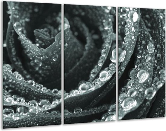 Schilderij op canvas - Print Wandschilderij - pioen bloem - 120x50cm - Canvas Print Schilderij - Wandafbeelding - Afdrukken op Canvas - Wandfoto - Kunstdruk - Wanddecoratie - AB120x50-3930 Schilderij op canvas - Print Wandschilderij - pioen bloem - 120x50cm - Canvas Print Schilderij - Wandafbeelding - Afdrukken op Canvas - Wandfoto - Kunstdruk - Wanddecoratie - AB120x50-3930