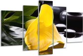 Glasschilderij Bloem - Geel, Zwart, Wit - 170x100cm 5Luik - Foto Op Glas - Geen Acrylglas Schilderij - 6000+ Glasschilderijen Collectie - Wanddecoratie