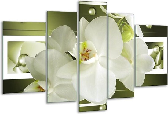 Glasschilderij Orchidee - Groen, Wit - 170x100cm 5Luik - Foto Op Glas - Geen Acrylglas Schilderij - 6000+ Glasschilderijen Collectie - Wanddecoratie