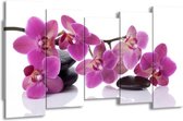 GroepArt - Canvas Schilderij - Orchidee - Paars, Wit - 150x80cm 5Luik- Groot Collectie Schilderijen Op Canvas En Wanddecoraties